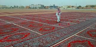 إدارة المساجد بمحافظة الطائف تحدد 350 جامعًا لإقامة صلاة عيد الفطر