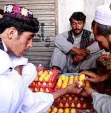 معارك البيض ـ أرشيفية