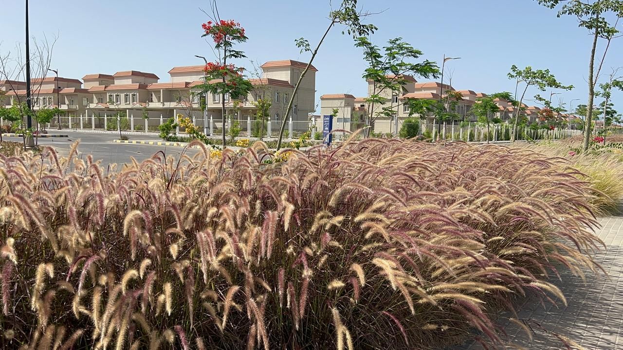 جمال المنصورة الجديدة جمال المنصورة الجديدة