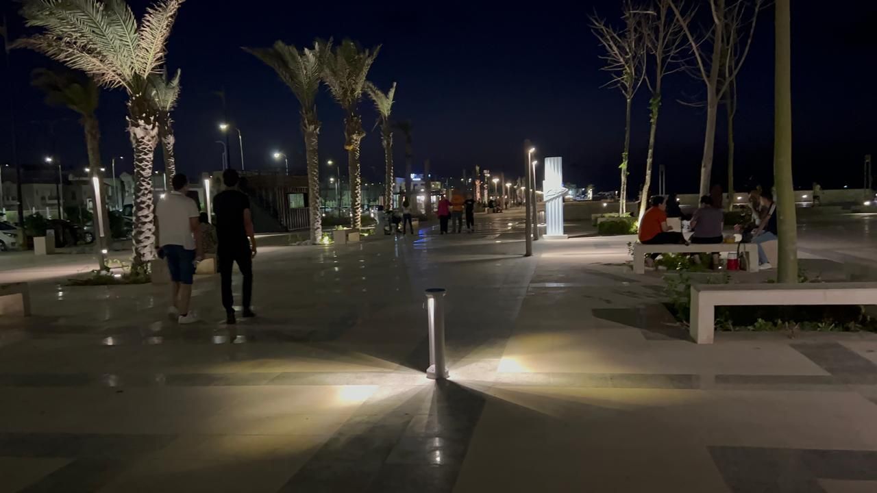 نخيل مثمر وزراعات مختلفة علي الكورنيش الذكي نخيل مثمر وزراعات مختلفة علي الكورنيش الذكي