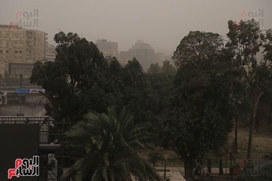 عواصف ترابية عواصف ترابية