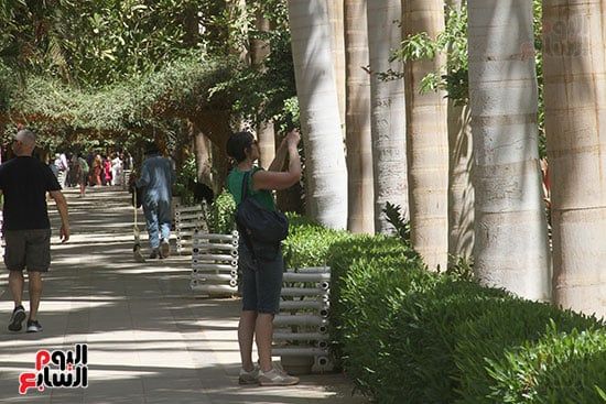 السياح-يلتقطون-الصور السياح-يلتقطون-الصور