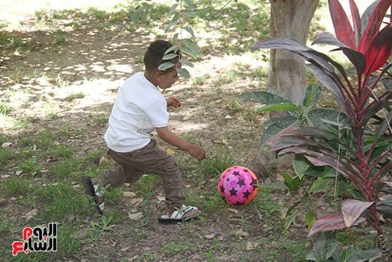 الأطفال-يلعبون-داخل-الحديقة- الأطفال-يلعبون-داخل-الحديقة-