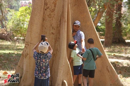 التقاط-صور-عند-الأشجار-النادرة التقاط-صور-عند-الأشجار-النادرة