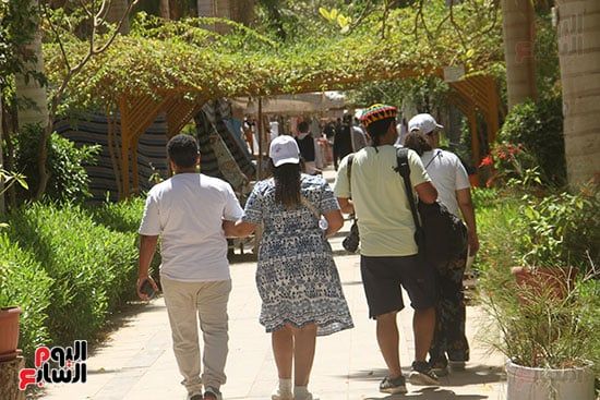 زوار-جزيرة-النباتات- زوار-جزيرة-النباتات-