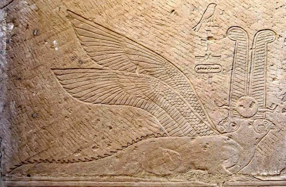 لوحة المعبود حورس فى معبد هيبس لوحة المعبود حورس فى معبد هيبس