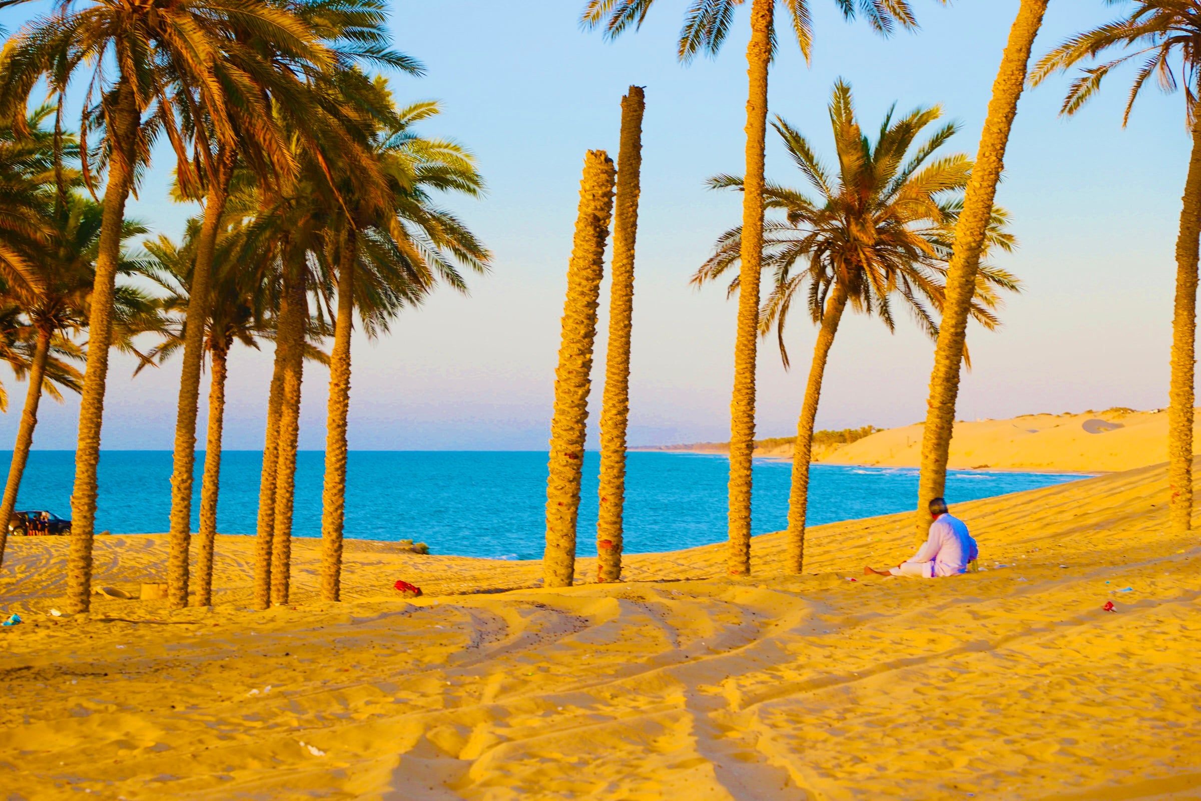 بحر العريش اليوم بحر العريش اليوم