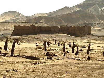 حصن الدير بالواحات الخارجة حصن الدير بالواحات الخارجة