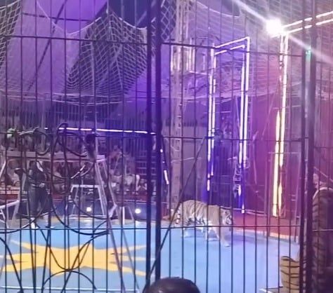 16e0d5c3-7bc6-46a5-9dcc-592a54d59ff4 16e0d5c3-7bc6-46a5-9dcc-592a54d59ff4