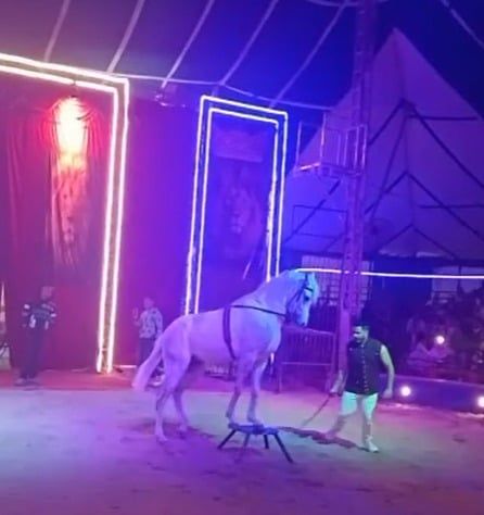 8f2af6f8-2419-4a04-b5f7-4ab166b3e8a8 8f2af6f8-2419-4a04-b5f7-4ab166b3e8a8