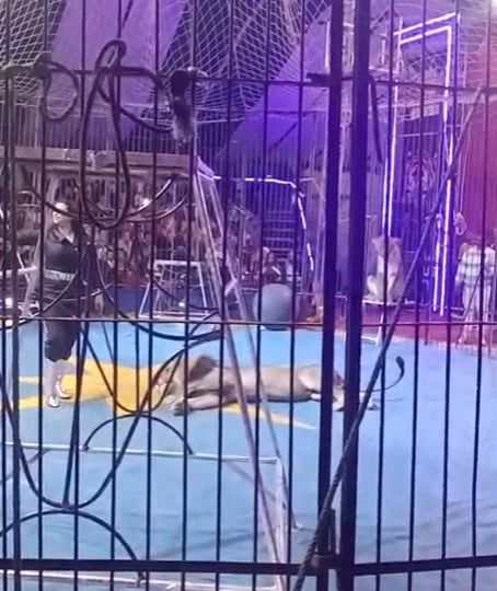 a287f351-3c43-415c-aa3b-0f8b61b41df1 a287f351-3c43-415c-aa3b-0f8b61b41df1