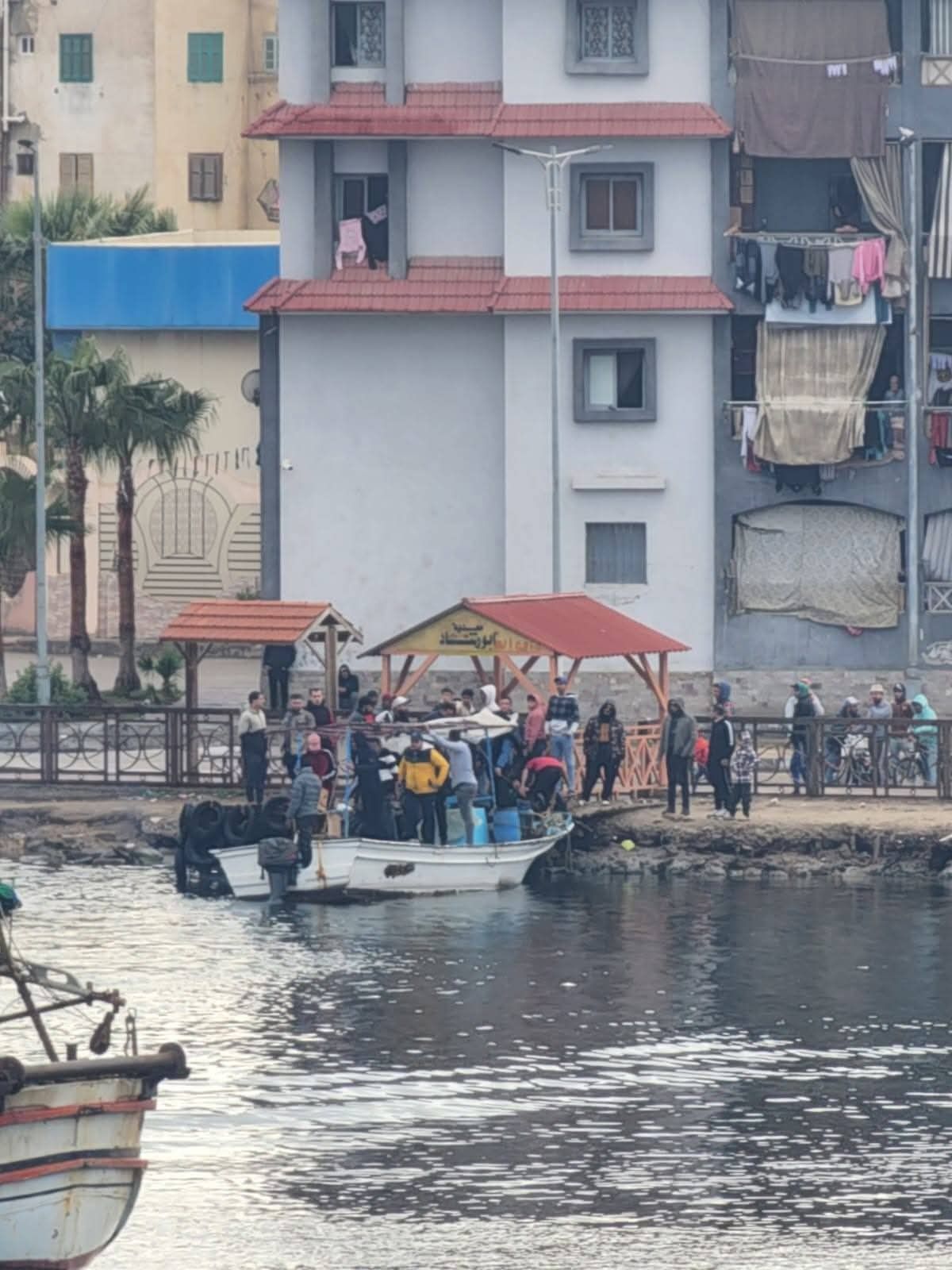 1000062872 1000062872