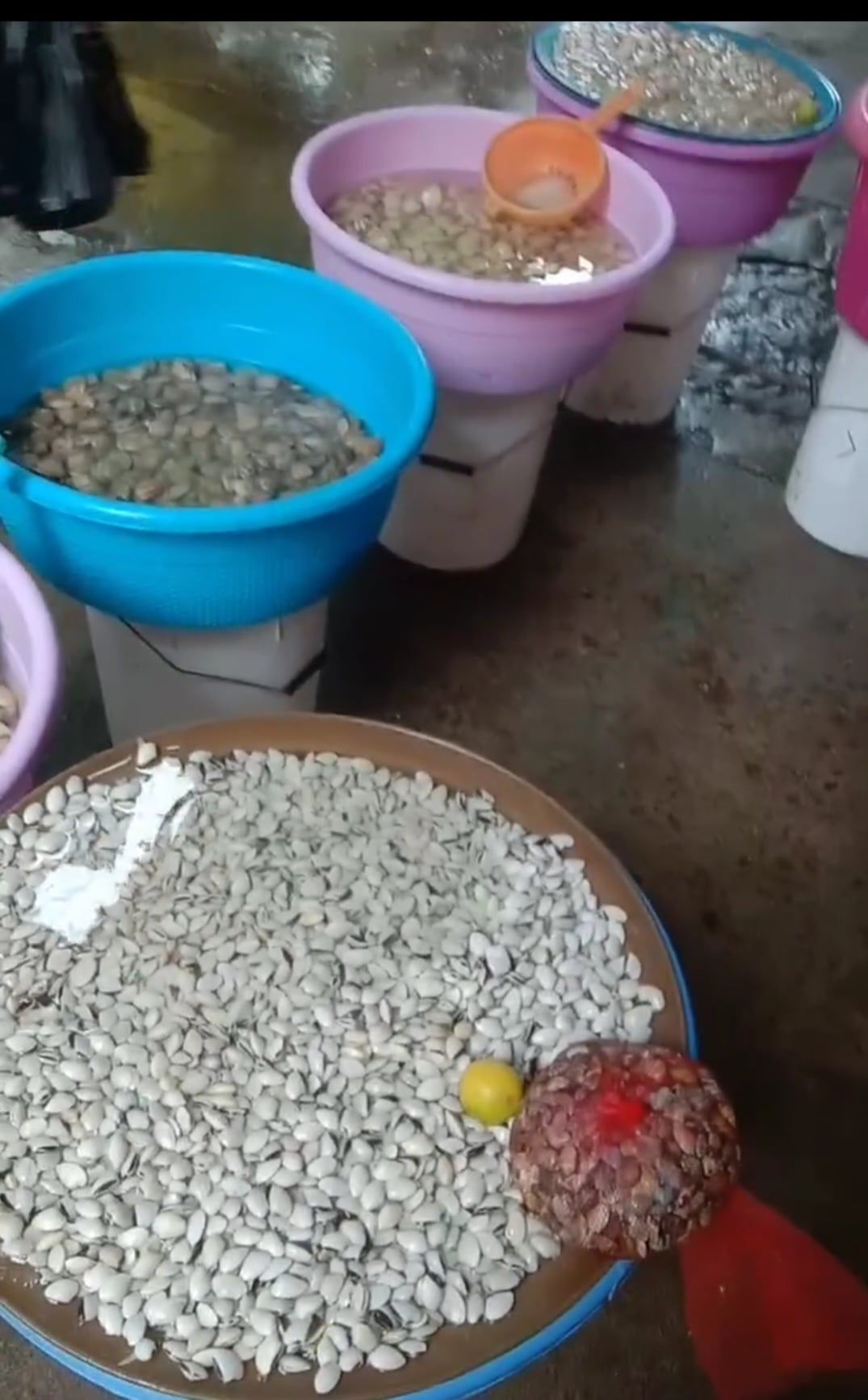 البكلويز وأم الخلول البكلويز وأم الخلول