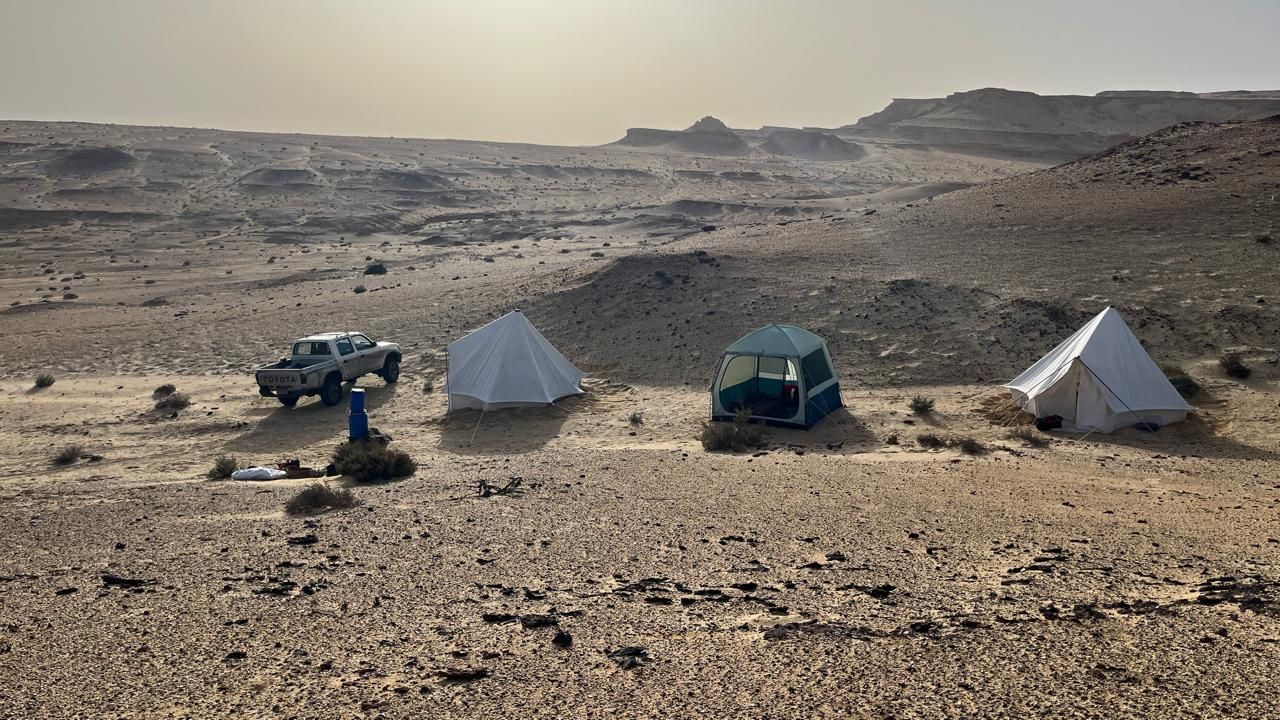 جانب من عمليات الاكتشاف جانب من عمليات الاكتشاف