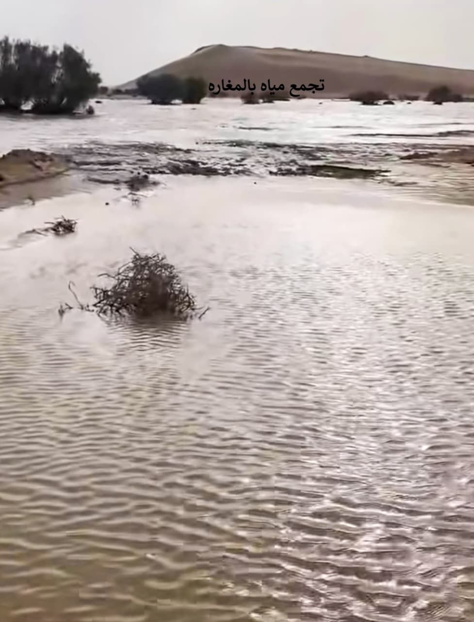 السيول فى جنوب سيناء ومطروح السيول فى جنوب سيناء ومطروح