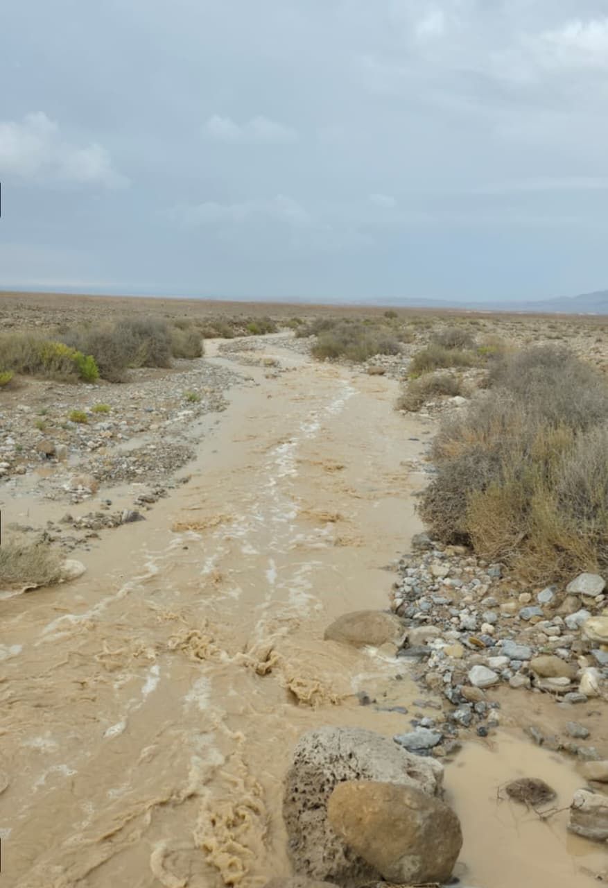 جانب من تجمع المياة جانب من تجمع المياة