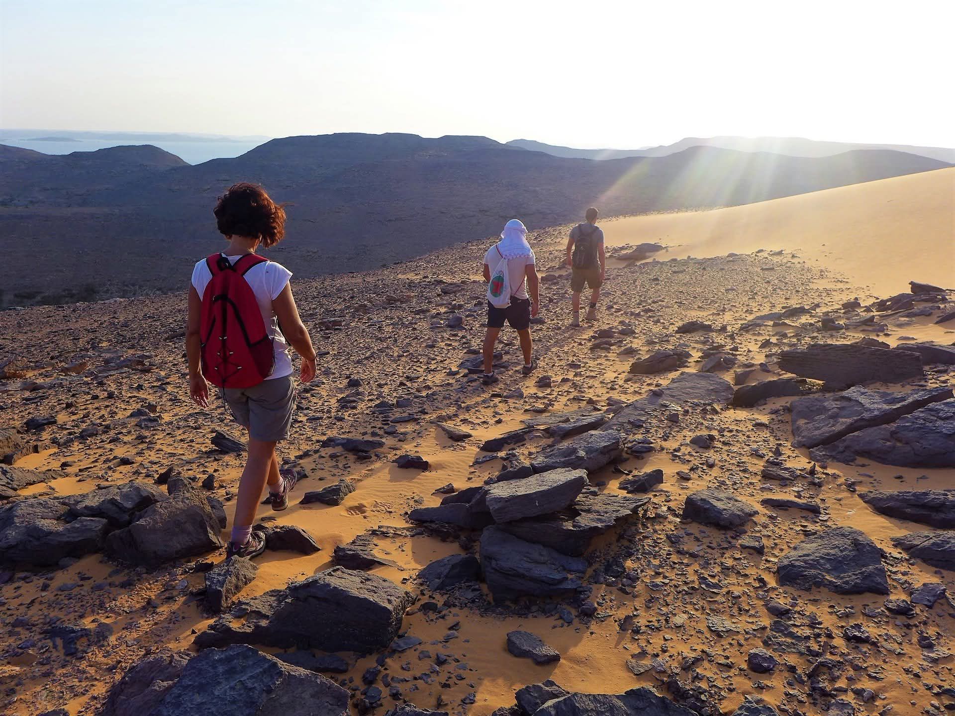 رحلات السفارى خلف السد العالى رحلات السفارى خلف السد العالى