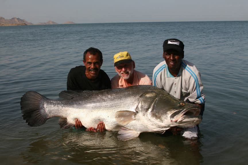 صيد الأسماك الكبيرة صيد الأسماك الكبيرة