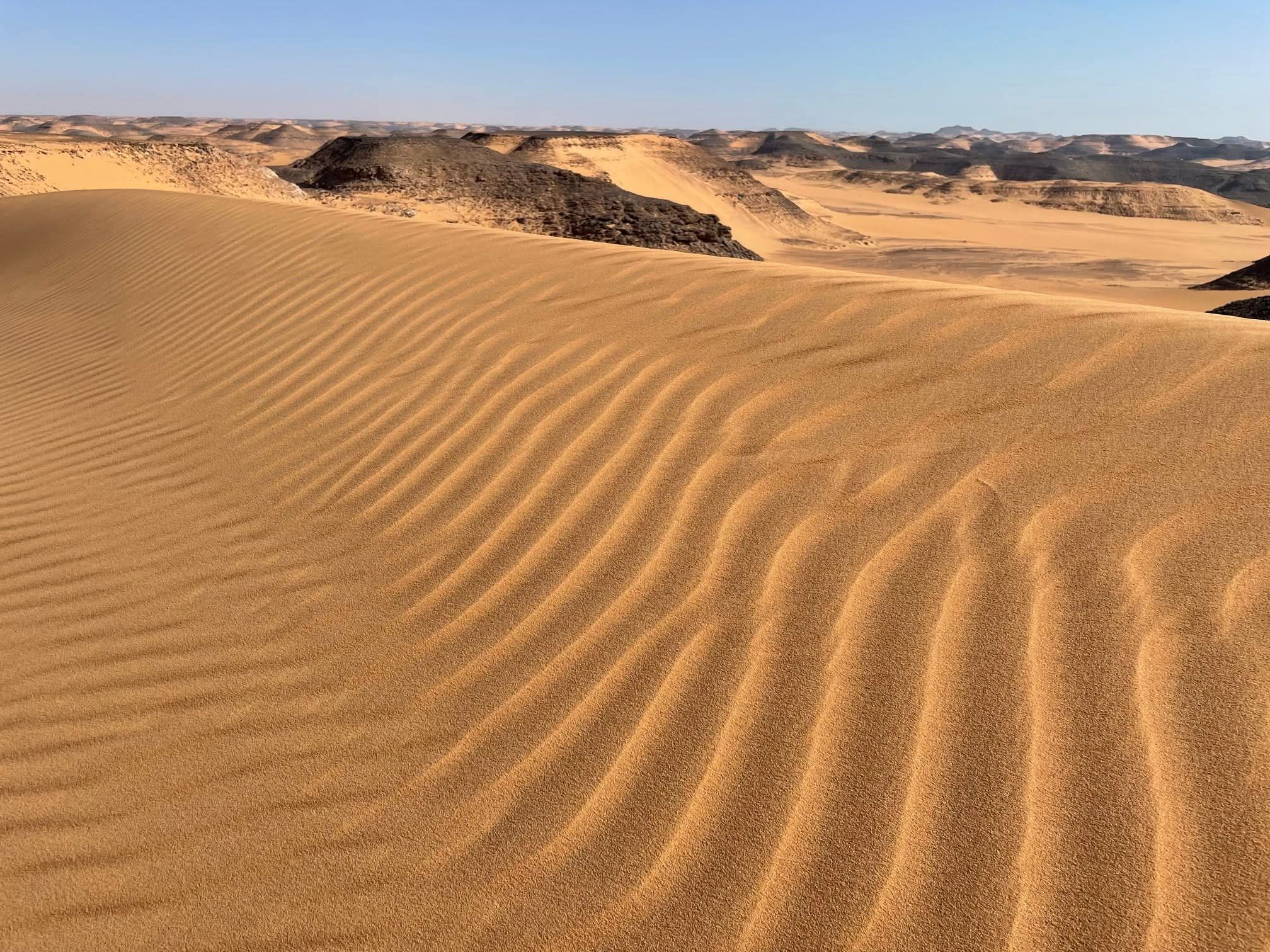 صحراء الجنوب صحراء الجنوب