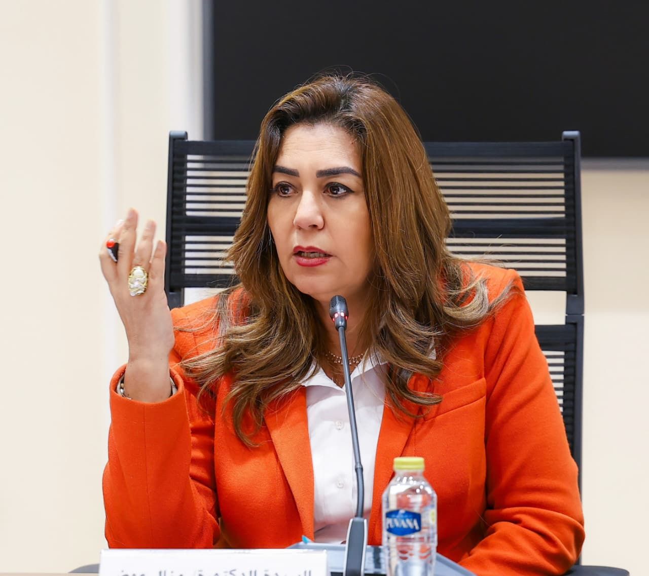 الدكتورة منال عمر وزيرة التنمية المحلية الدكتورة منال عمر وزيرة التنمية المحلية