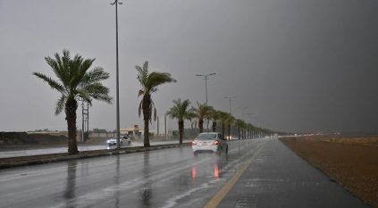 توقعات الطقس اليوم: أمطار رعدية وسيول وبرد على عدة مناطق
