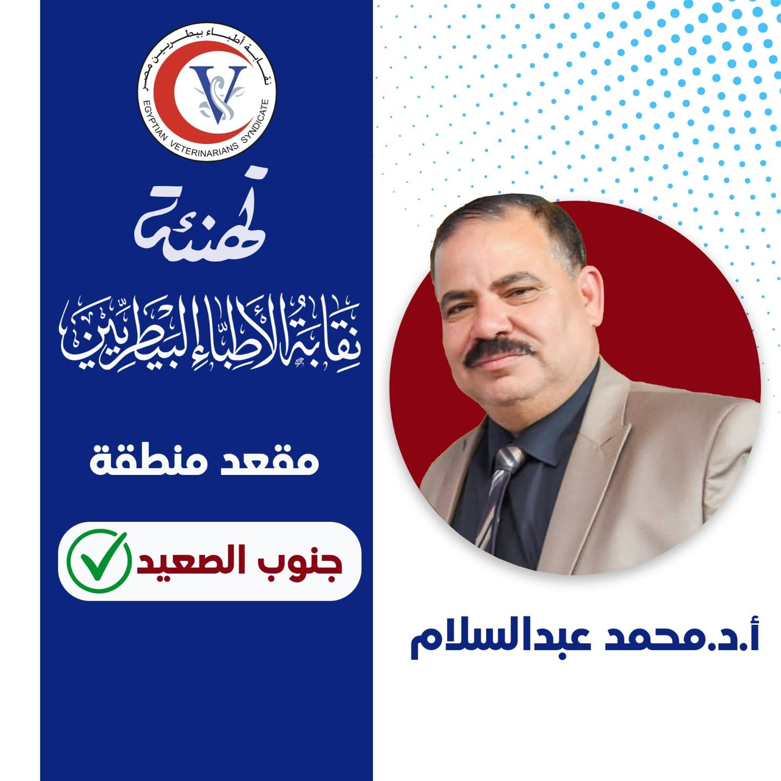 الأستاذ الدكتور محمد الدسوقى الأستاذ الدكتور محمد الدسوقى