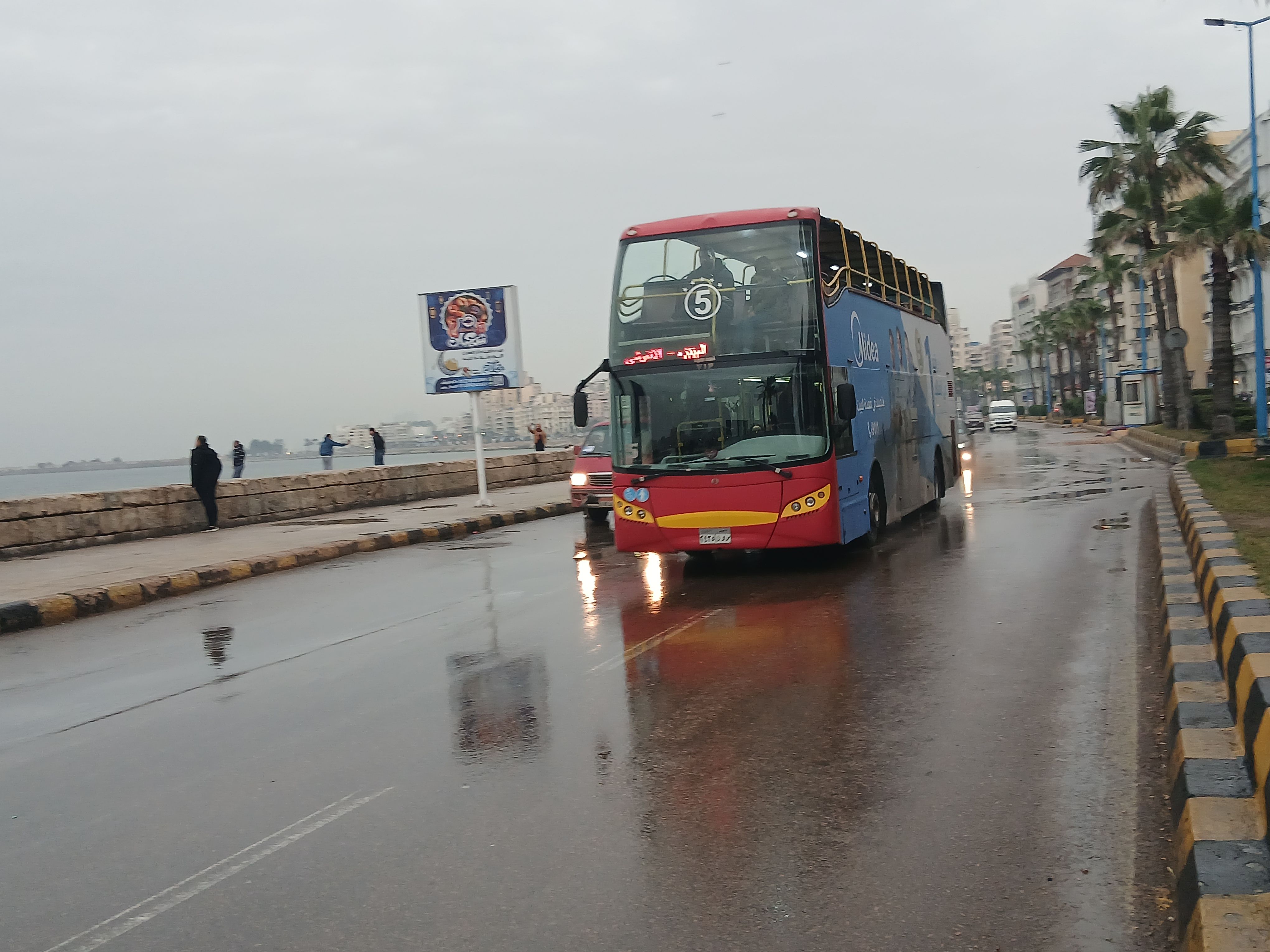 الأمطار في الإسكندرية اليوم الأمطار في الإسكندرية اليوم