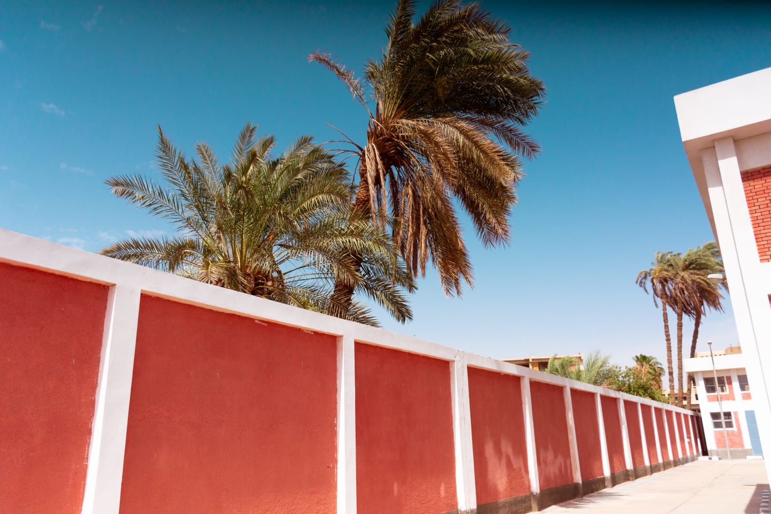 إنجازات مبادرة حياة كريم.. «بنى حميل» بسوهاج تقترب من لحظة الحلم (4) إنجازات مبادرة حياة كريم.. «بنى حميل» بسوهاج تقترب من لحظة الحلم (4)