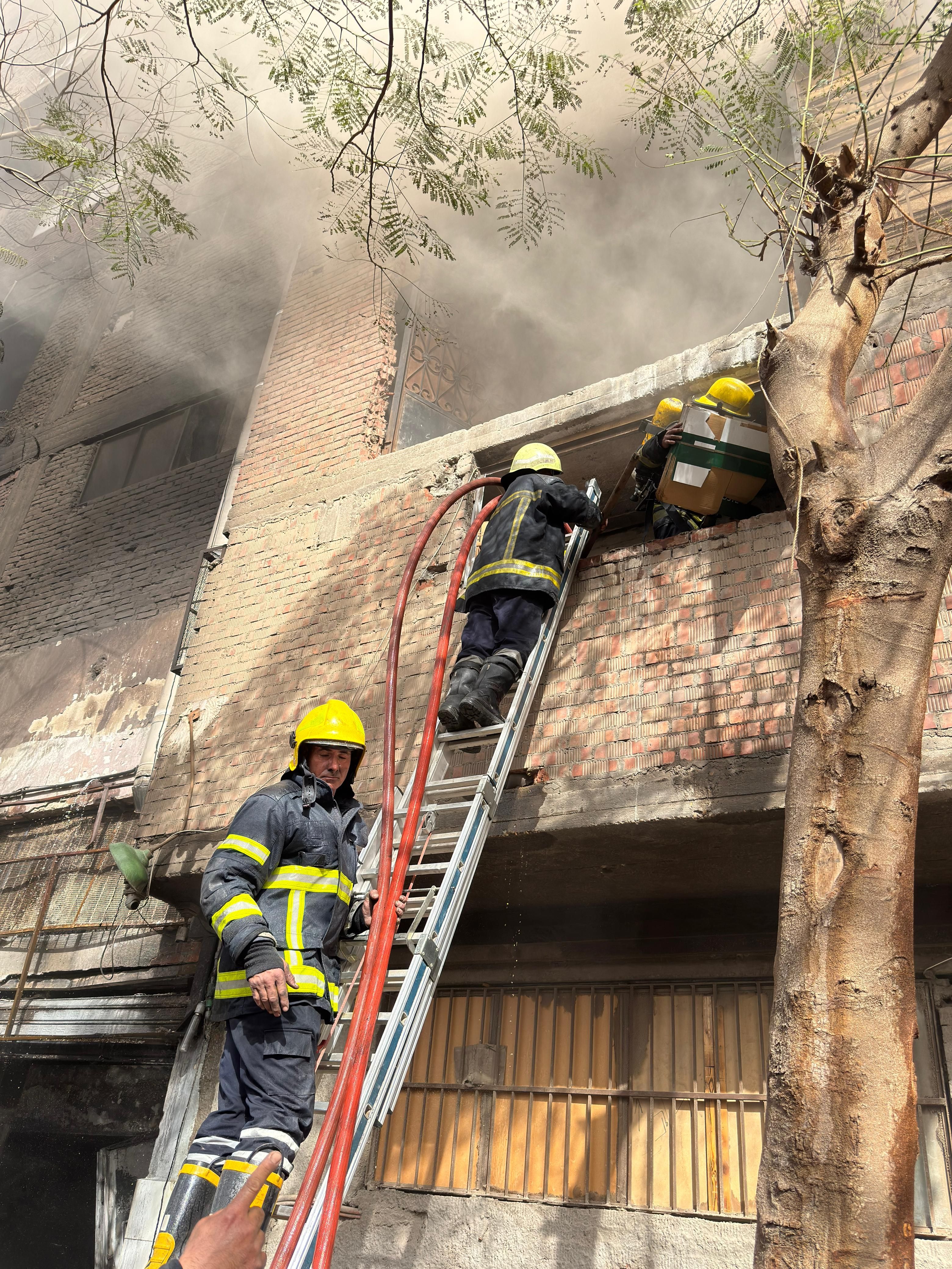 WhatsApp Image 2026-04-05 at 4.43.08 PM WhatsApp Image 2026-04-05 at 4.43.08 PM