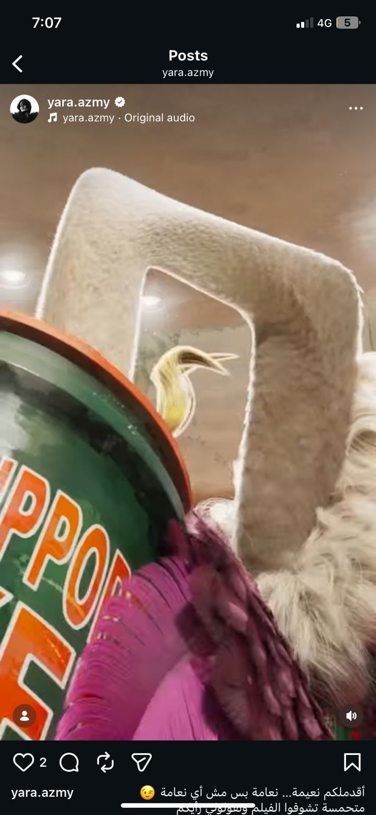 طرح الإعلان الرسمي لفيلم معّوز (GOAT (3) طرح الإعلان الرسمي لفيلم معّوز (GOAT (3)