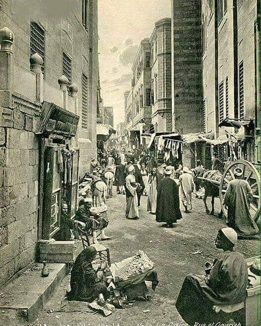 faroukmisr_49732968_309446803028558_1748573576710855093_n faroukmisr_49732968_309446803028558_1748573576710855093_n