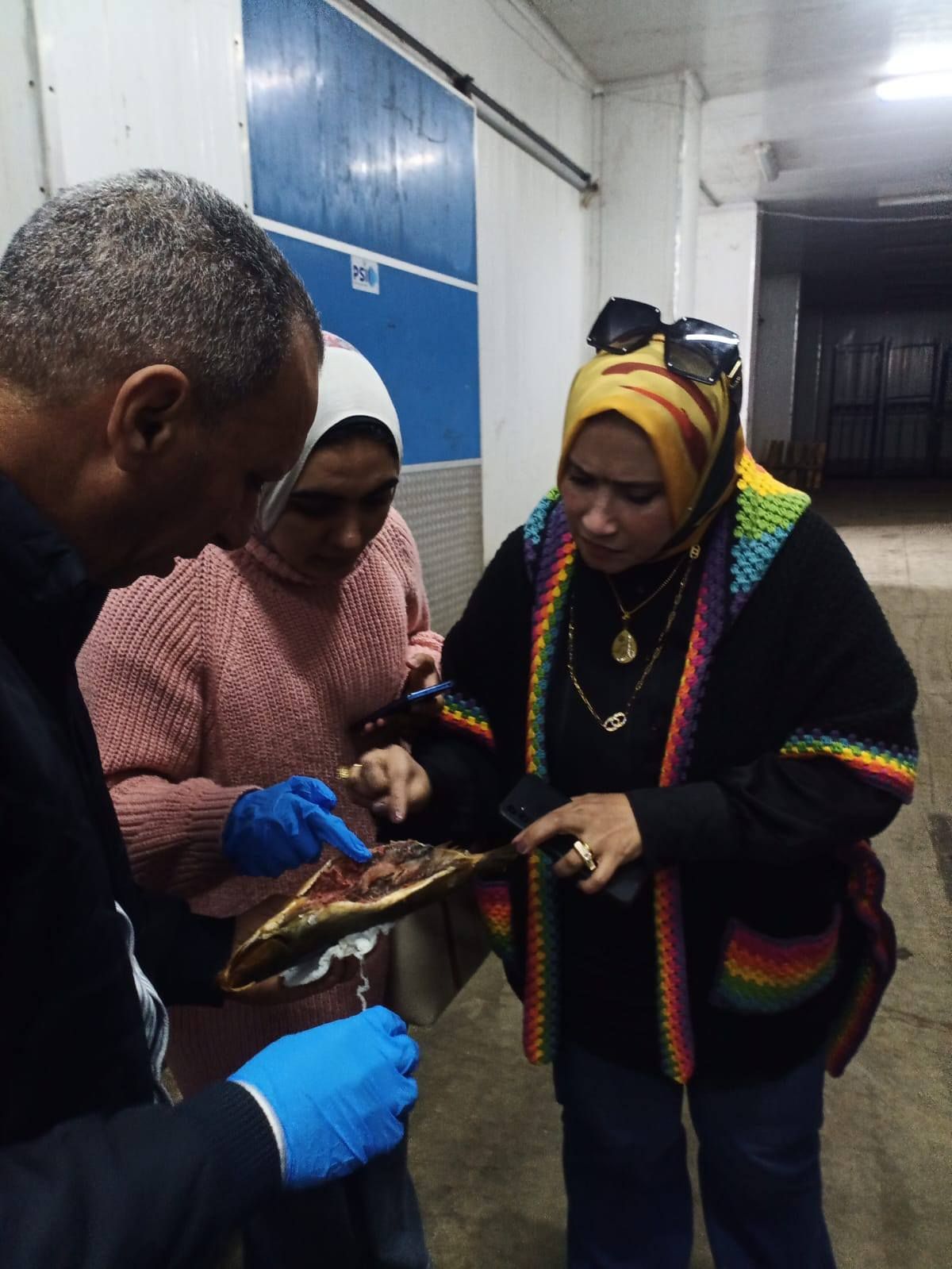 التأكد من فساد الرنجة_1 التأكد من فساد الرنجة_1