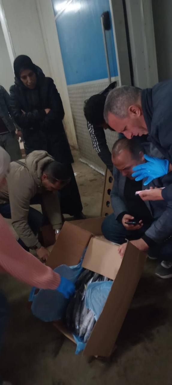 الحملة تعاين الرنجة الغير صالحه الحملة تعاين الرنجة الغير صالحه