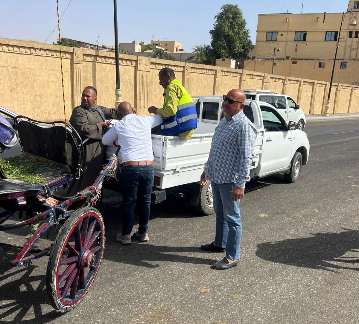 حملات للتحفظ على عربات الحنطور المخالفة بالكورنيش وطريق الكباش حملات للتحفظ على عربات الحنطور المخالفة بالكورنيش وطريق الكباش