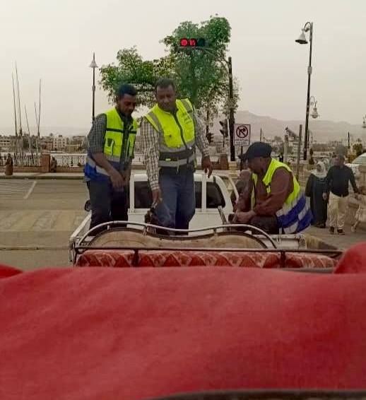 رصد قائد عربة حنطور بالسير عشوائياً معترضاً الطريق بمنطقة ميدان مرحبا_1 رصد قائد عربة حنطور بالسير عشوائياً معترضاً الطريق بمنطقة ميدان مرحبا_1