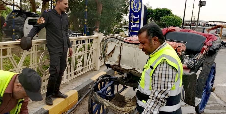 مدينة الأقصر تكثف حملاتها اليومية لمواجهة مخالفات عربات الحنطور مدينة الأقصر تكثف حملاتها اليومية لمواجهة مخالفات عربات الحنطور