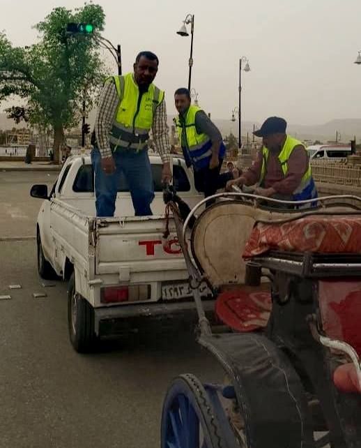 مدينة الأقصر تكثف حملاتها لمواجهة مخالفات عربات الحنطور مدينة الأقصر تكثف حملاتها لمواجهة مخالفات عربات الحنطور