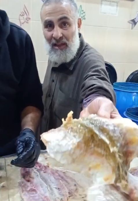 جانب من تميز الفسيخة بعدخليها جانب من تميز الفسيخة بعدخليها