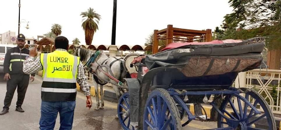 رصد قائد عربة حنطور بالسير عشوائياً معترضاً الطريق بمنطقة مرحبا رصد قائد عربة حنطور بالسير عشوائياً معترضاً الطريق بمنطقة مرحبا