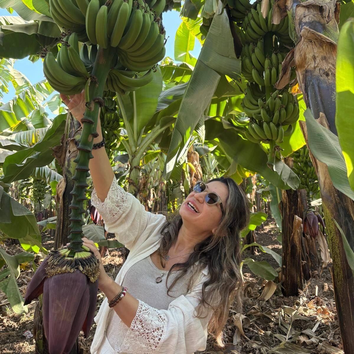 بهجة أجنبية داخل جزيرة الموز غرب الأقصر بهجة أجنبية داخل جزيرة الموز غرب الأقصر