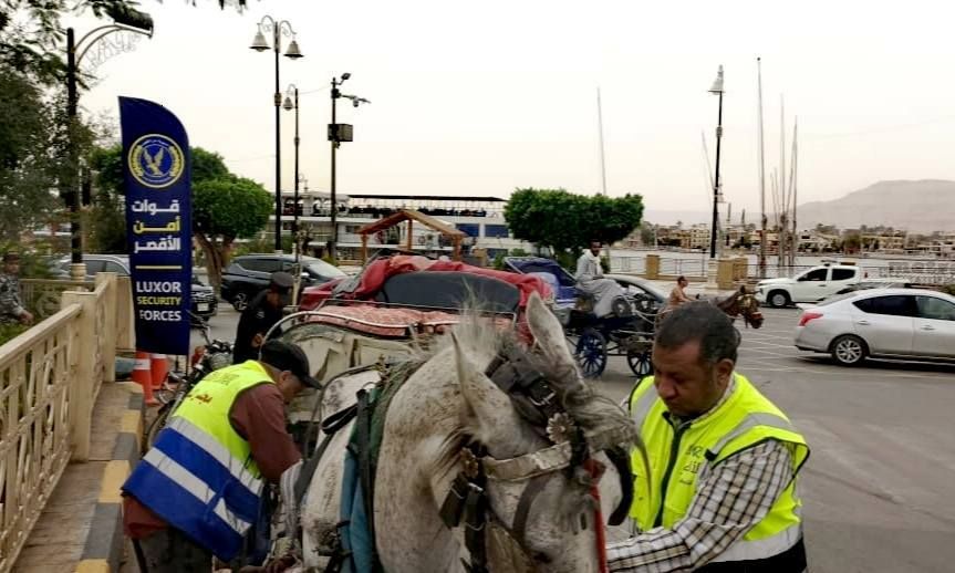 ضبط قائد عربة حنطور بالسير عشوائياً معترضاً الطريق بمنطقة ميدان مرحبا ضبط قائد عربة حنطور بالسير عشوائياً معترضاً الطريق بمنطقة ميدان مرحبا