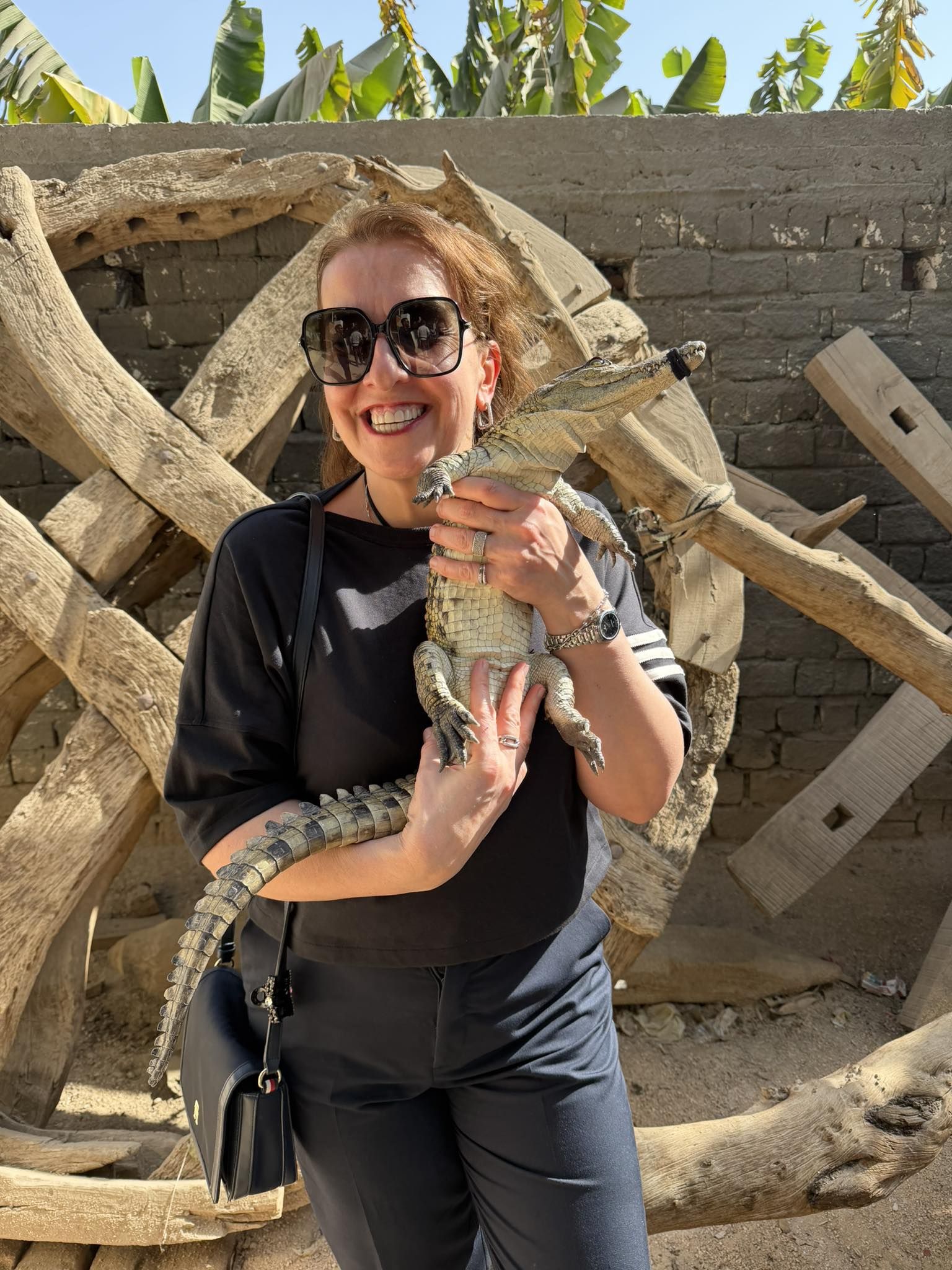 متعة الأجانب مع التماسيح الصغيرة بجزيرة الموز متعة الأجانب مع التماسيح الصغيرة بجزيرة الموز