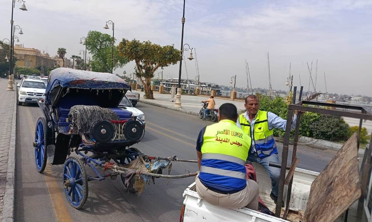 محافظ الأقصر يضبط عربة حنطور مخالفة خلال جولة صباحية محافظ الأقصر يضبط عربة حنطور مخالفة خلال جولة صباحية