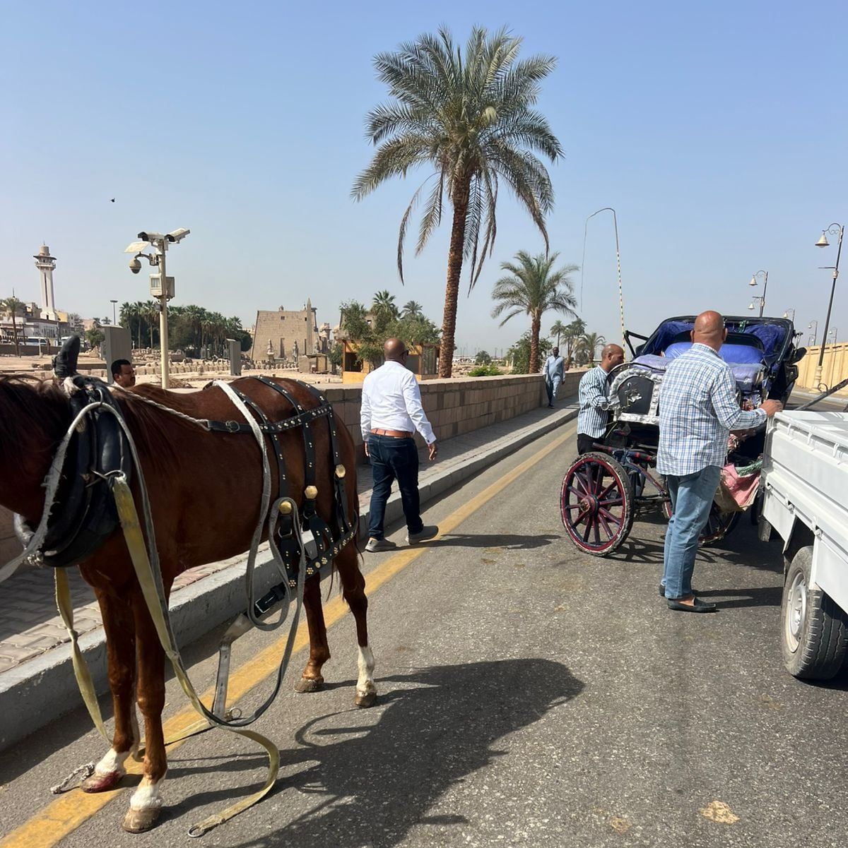 التحفظ على عربات الحنطور المخالفة بالكورنيش وطريق الكباش التحفظ على عربات الحنطور المخالفة بالكورنيش وطريق الكباش