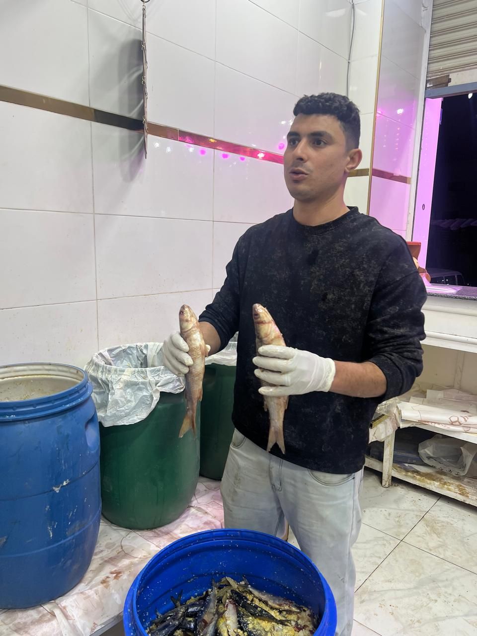 فسيخ حجم وسط فسيخ حجم وسط