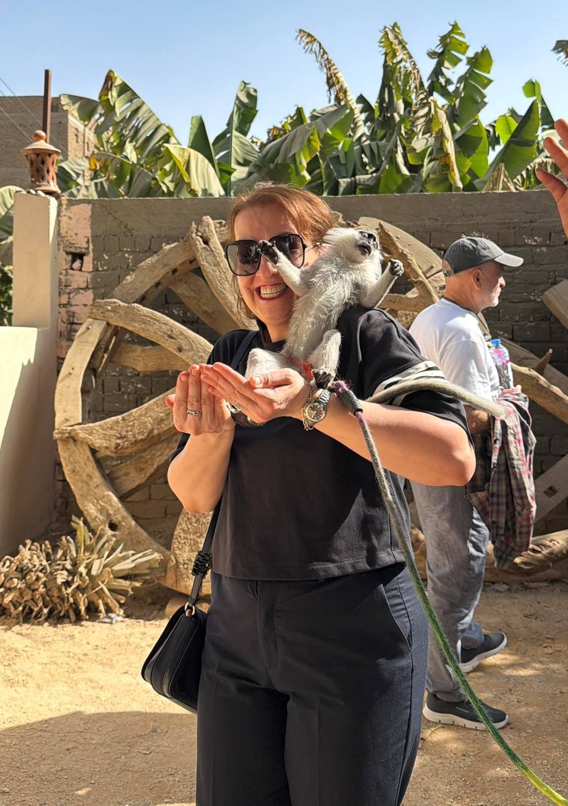 بهجة أجنبية مع القرود فى قلب جزيرة الموز بهجة أجنبية مع القرود فى قلب جزيرة الموز