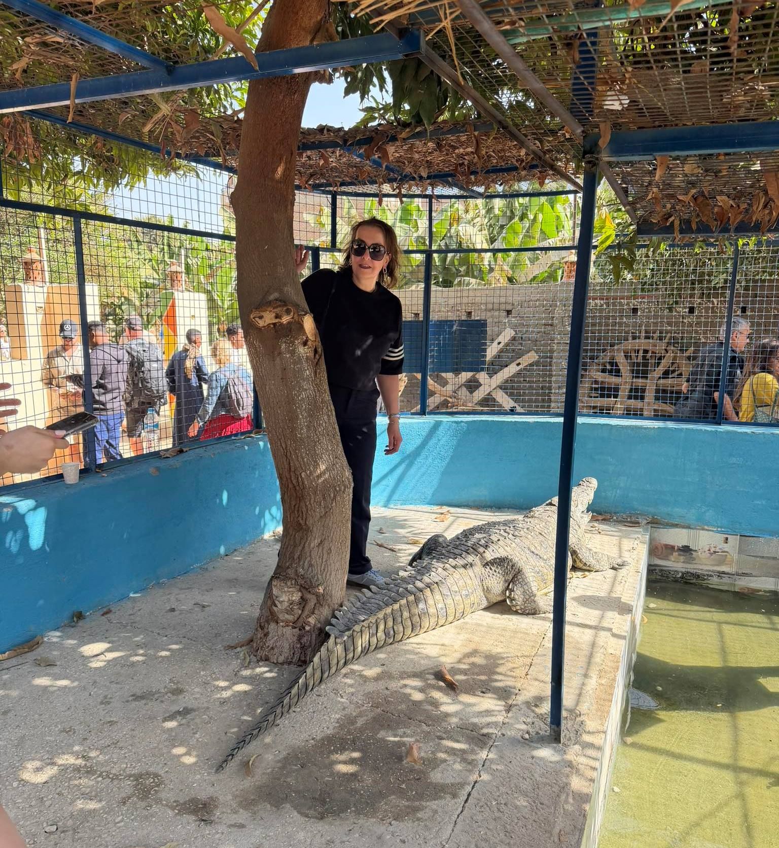 استمتاع أجنبية مع التماسيح فى قلب جزيرة الموز استمتاع أجنبية مع التماسيح فى قلب جزيرة الموز