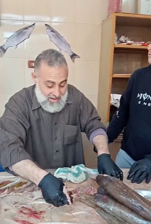 جودة الفسيخ في اختيار السمكة جودة الفسيخ في اختيار السمكة