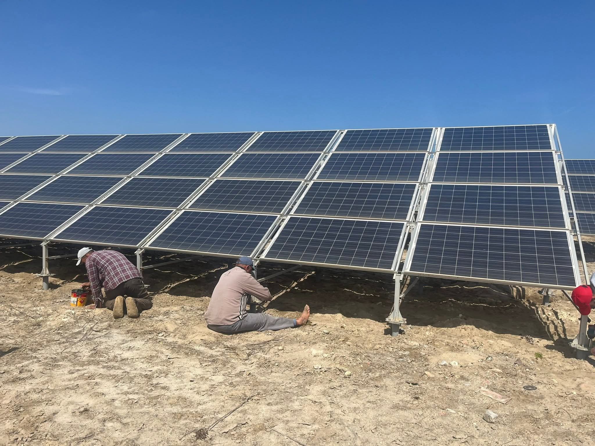 جمصة تشرق بالطاقة النظيفة (1) جمصة تشرق بالطاقة النظيفة (1)