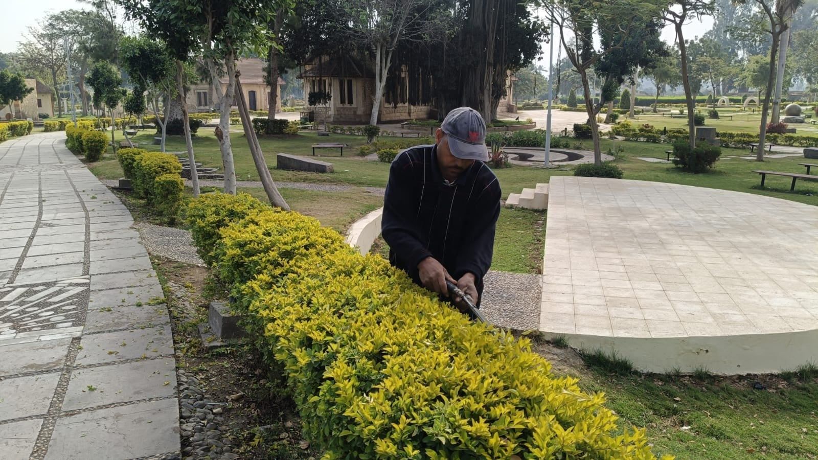 تهذيب الأشحار_1 تهذيب الأشحار_1